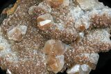 Zoned, Red Calcite Crystal Cluster - Santa Eulalia #33833-1